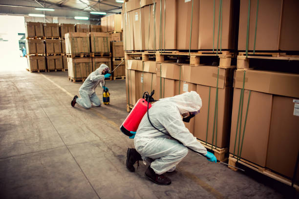 Reliable Jasper, TN Pest Control Solutions