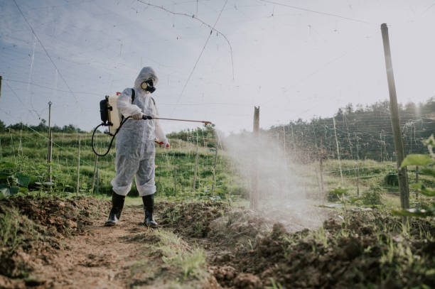 Pest Control Cost in Jasper, TN