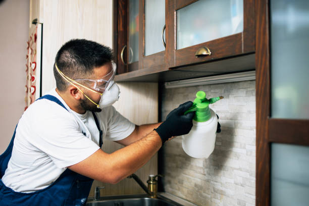 Best Local Pest Control Services  in Jasper, TN
