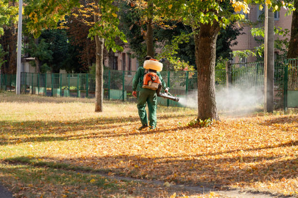 Best Affordable Pest Control Services  in Jasper, TN