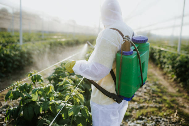 Best Flea Control Services  in Jasper, TN
